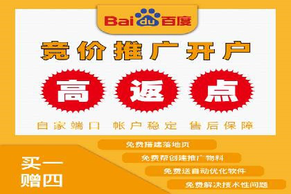 百度竞价包年推广策略——某行业巨头的成功经验