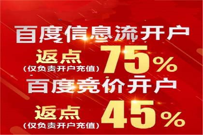 百度SEO推广公司案例剖析：助力企业提升排名